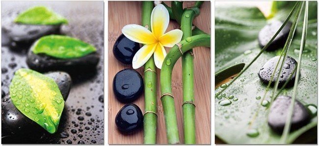  Репродукция 