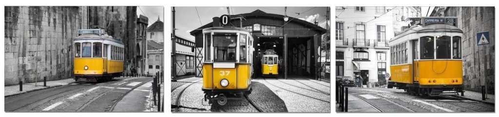 Репродукция 