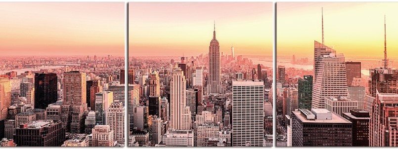 Репродукция 